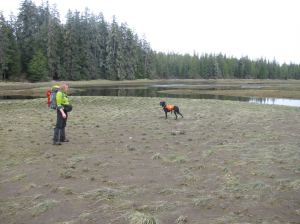 Just finishing clearing one side of a long creek on a 2012 search for a lost flyfisherman.