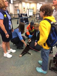 10468493_10204330117154789_2287665648718928406_o