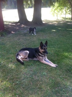 Edna and Ivan in the front yard of our vacation rental.