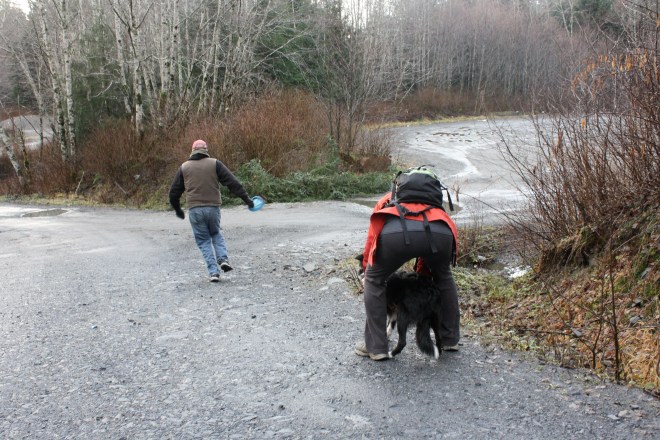 David runs away, teasing Edna with her toy. I hold Edna, asking her "Where is he? Where did he go?" She is a nimble little thing, and I have to be careful or she pops straight up in the air to escape.